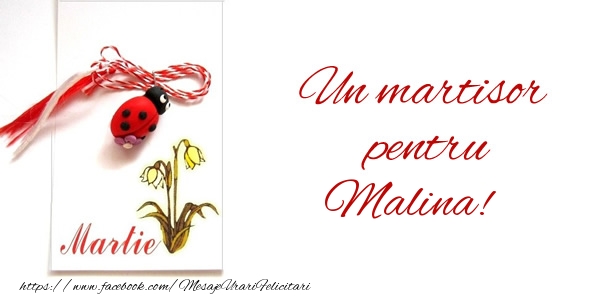  Felicitari de 1 Martie -  Un martisor pentru Malina!