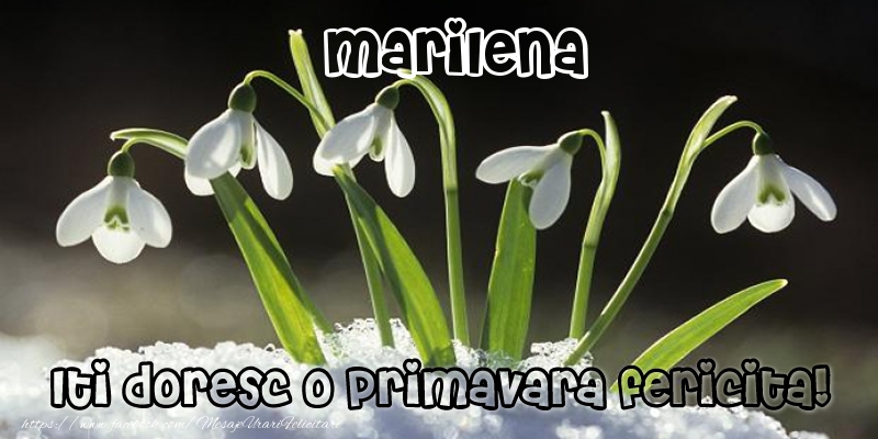  Felicitari de 1 Martie - Ghiocei | Marilena Iti doresc o primavara fericita!