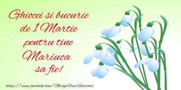  Felicitari de 1 Martie -  Ghiocei si bucurie de 1 Martie pentru tine Mariuca sa fie!