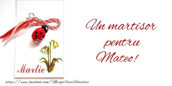  Felicitari de 1 Martie -  Un martisor pentru Mateo!