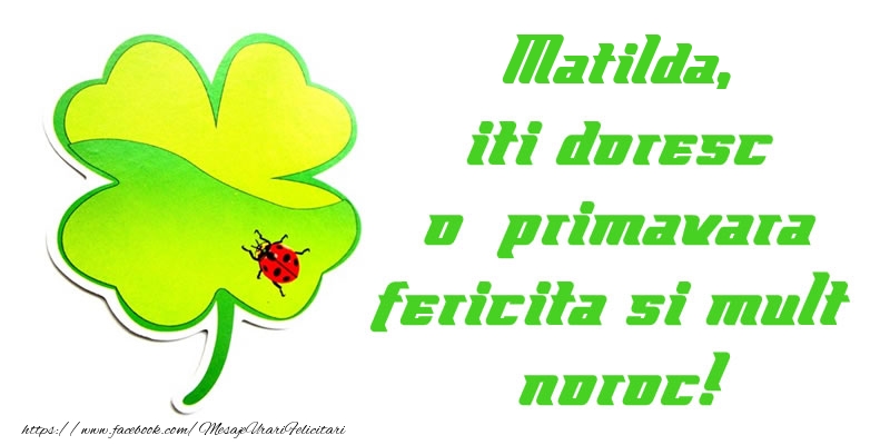  Felicitari de 1 Martie - Trifoi | Matilda iti doresc o primavara fericita si mult noroc!