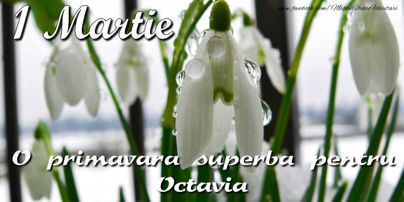  Felicitari de 1 Martie - Ghiocei | O primavara superba pentru Octavia
