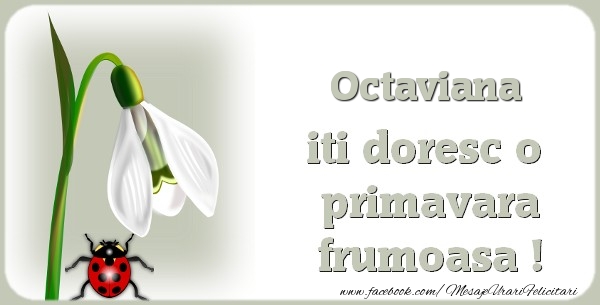 Felicitari de 1 Martie - Ghiocei | Octaviana iti doresc o primavara frumoasa