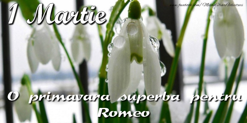  Felicitari de 1 Martie - Ghiocei | O primavara superba pentru Romeo