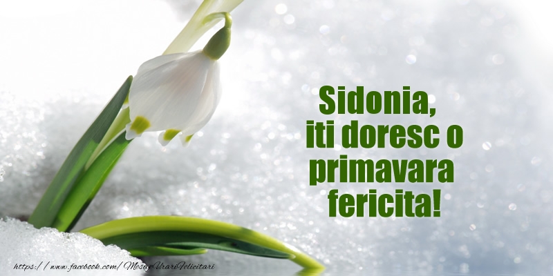  Felicitari de 1 Martie - ❄️❄️ Ghiocei & Zăpadă | Sidonia, iti doresc o primavara fericita!