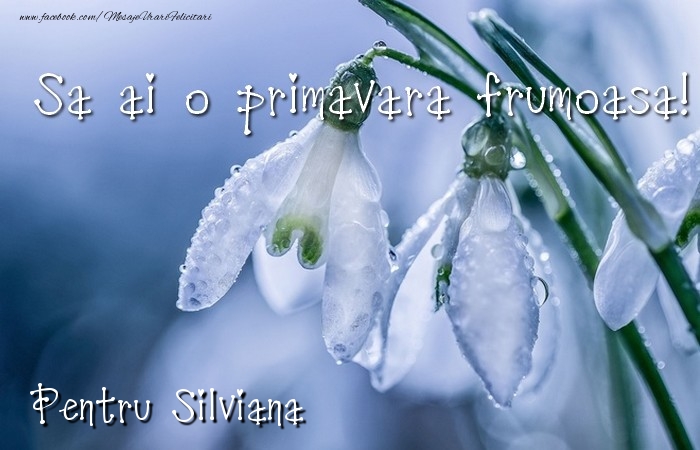  Felicitari de 1 Martie - Ghiocei | Va doresc o primavara minunata Silviana
