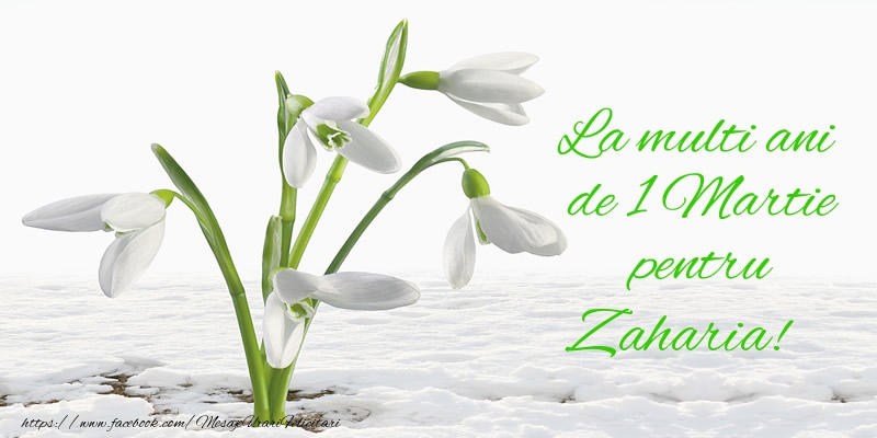  Felicitari de 1 Martie - Ghiocei | La multi ani de 1 Martie pentru Zaharia!