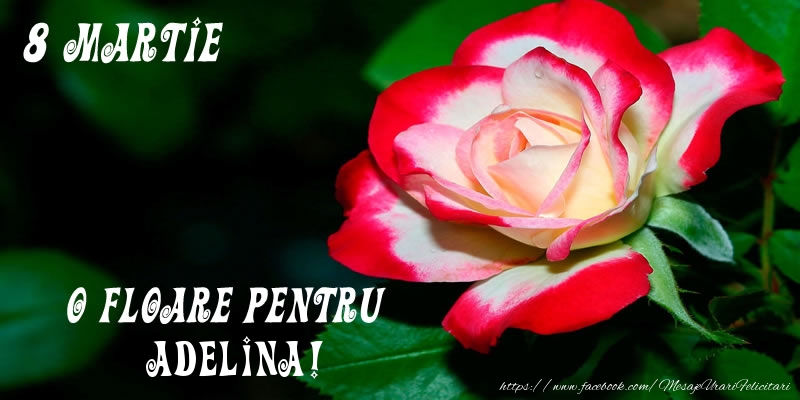  Felicitari de 8 Martie - Trandafiri | O floare pentru Adelina!