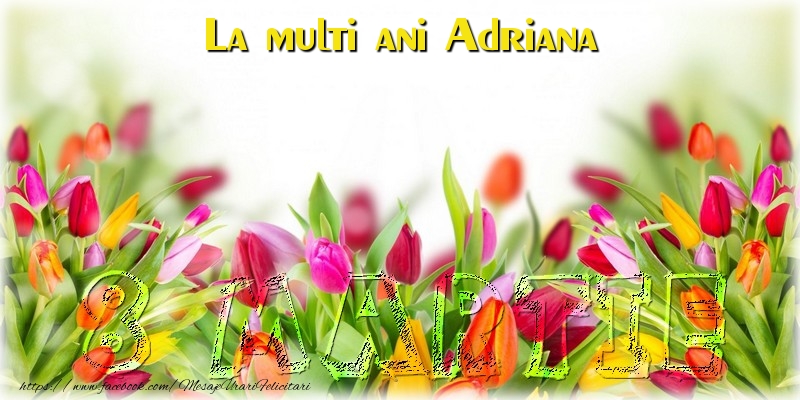  Felicitari de 8 Martie - Flori | La multi ani Adriana