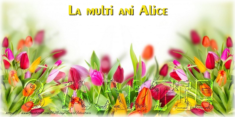  Felicitari de 8 Martie - Flori | La multi ani Alice