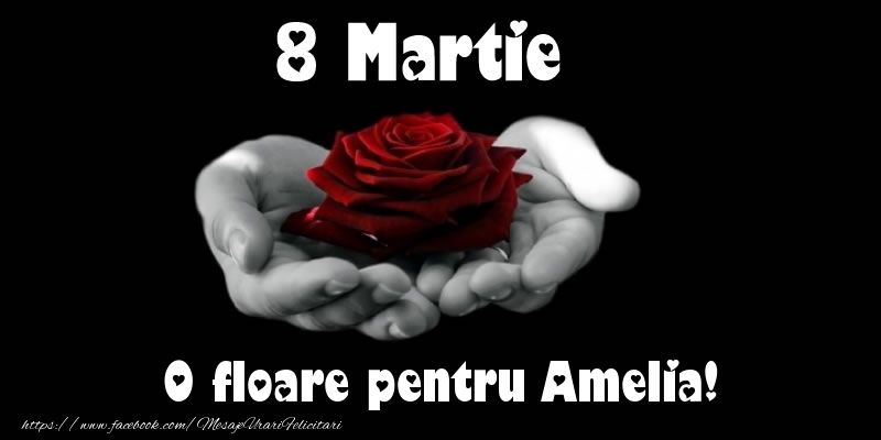  Felicitari de 8 Martie - Trandafiri | 8 Martie O floare pentru Amelia!