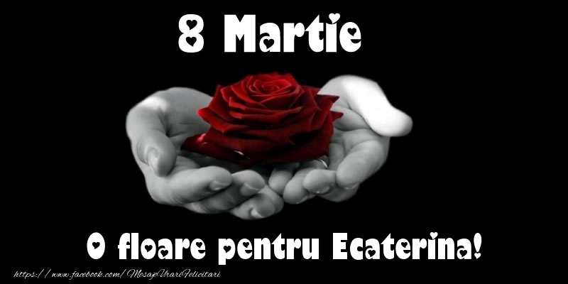 Felicitari de 8 Martie - Trandafiri | 8 Martie O floare pentru Ecaterina!