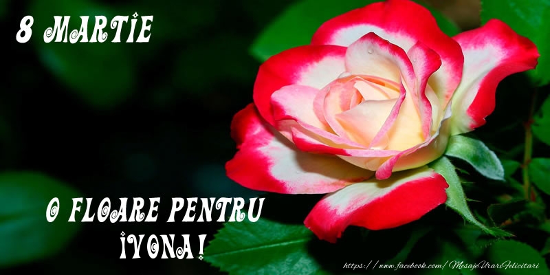 Felicitari de 8 Martie - Trandafiri | O floare pentru Ivona!