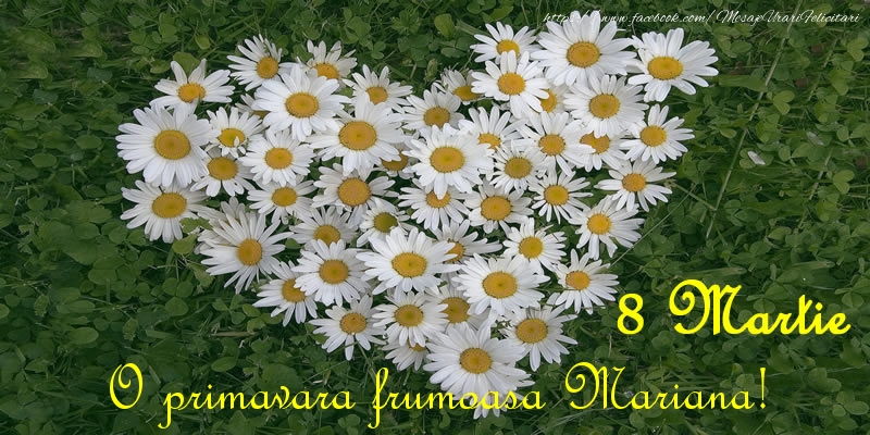 Felicitari de 8 Martie - Flori | O primavara frumoasa Mariana! 8 Martie