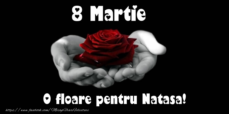  Felicitari de 8 Martie - Trandafiri | 8 Martie O floare pentru Natasa!