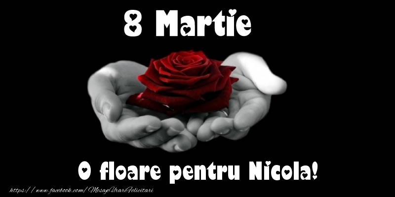 8 Martie 8 Martie O floare pentru Nicola!