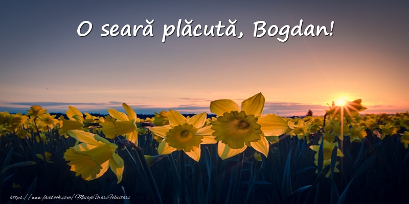  Felicitari de buna seara -  Flori: O seară plăcută, Bogdan!