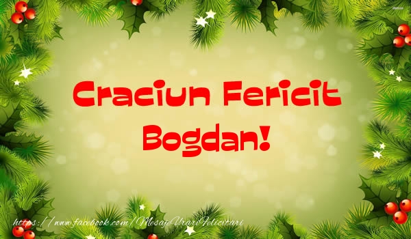  Felicitari de Craciun - Brazi | Craciun Fericit Bogdan!