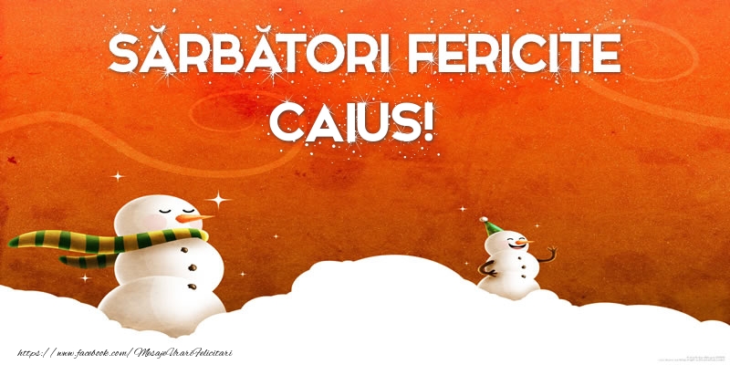  Felicitari de Craciun - ⛄ Om De Zapada | Sărbători Fericite Caius!