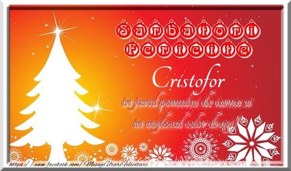 Felicitari de Craciun - Sarbatori fericite  in jurul pomului de iarna si in mijlocul celor dragi! Cristofor