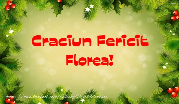 Felicitari de Craciun - Brazi | Craciun Fericit Florea!