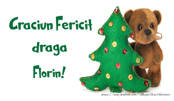  Felicitari de Craciun - Brazi | Craciun Fericit draga Florin!