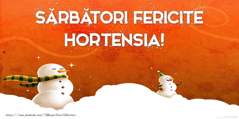  Felicitari de Craciun - ⛄ Om De Zapada | Sărbători Fericite Hortensia!
