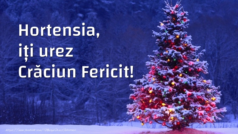  Felicitari de Craciun - Brazi | Hortensia, iți urez Crăciun Fericit!
