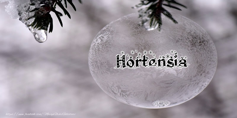  Felicitari de Craciun - Globuri | Numele Hortensia pe glob