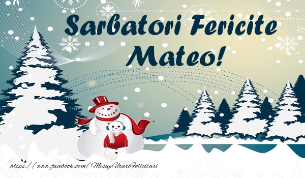  Felicitari de Craciun - ⛄ Brazi & Om De Zapada & Peisaje De Iarna | Sarbatori fericite Mateo!