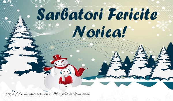 Felicitari de Craciun - ⛄ Brazi & Om De Zapada & Peisaje De Iarna | Sarbatori fericite Norica!