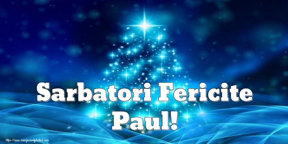  Felicitari de Craciun - Brazi | Sarbatori Fericite Paul!