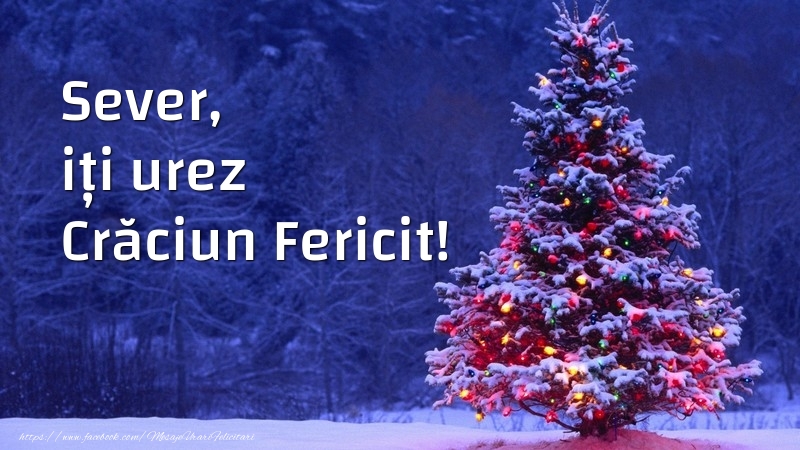 Felicitari de Craciun - Brazi | Sever, iți urez Crăciun Fericit!