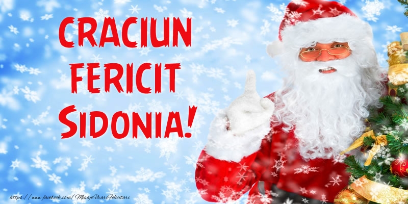  Felicitari de Craciun - Mos Craciun | Craciun Fericit Sidonia!
