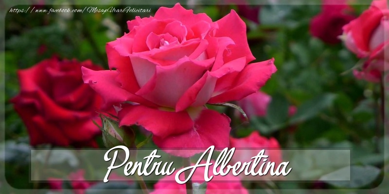  Felicitari Diverse - Trandafiri | Pentru Albertina
