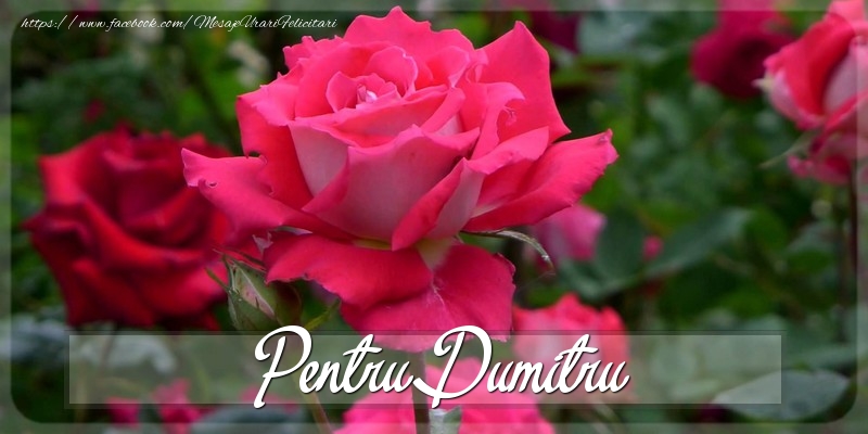 Felicitari Diverse - Pentru Dumitru