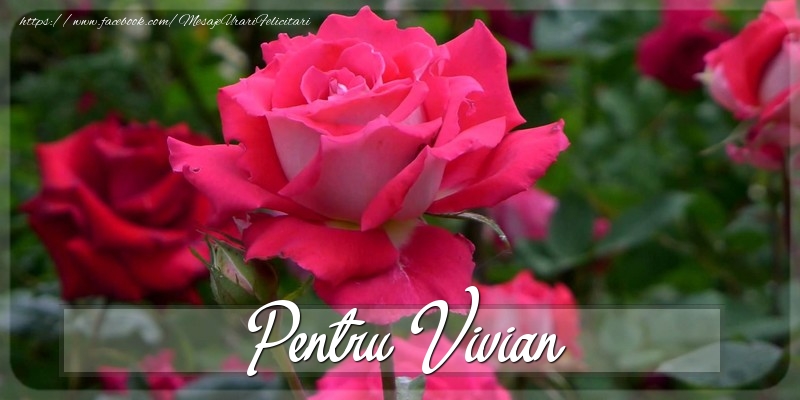 Felicitari Diverse - Pentru Vivian