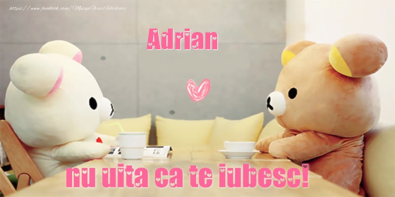  Felicitari de dragoste - Ursuleti | Adrian, nu uita ca te iubesc!
