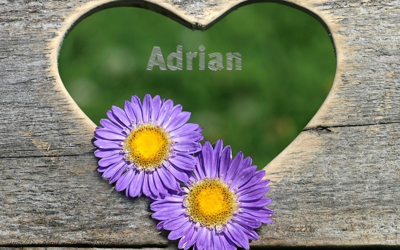  Felicitari de dragoste - ❤️❤️❤️ Flori & Inimioare | Adrian