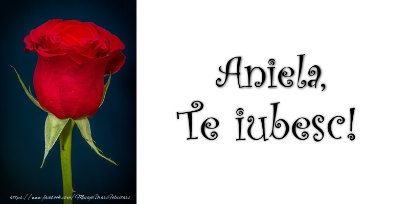  Felicitari de dragoste - Trandafiri | Aniela Te iubesc!