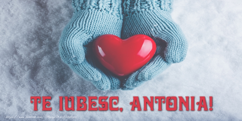  Felicitari de dragoste - ❤️❤️❤️ Inimioare | TE IUBESC, Antonia!