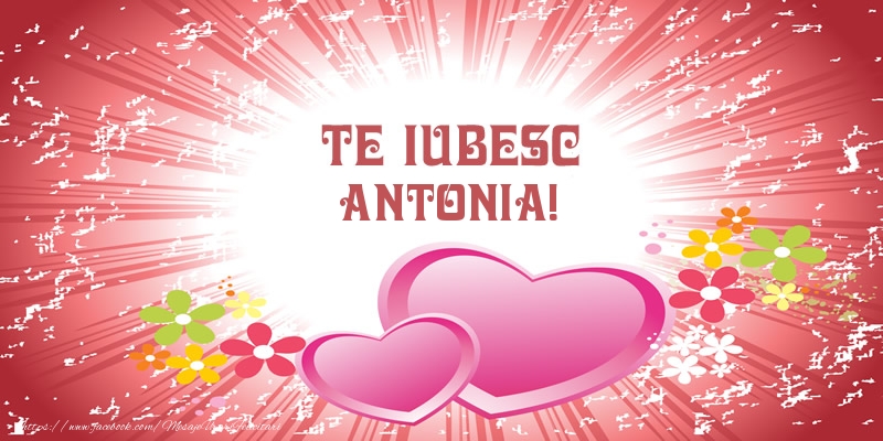  Felicitari de dragoste - ❤️❤️❤️ Inimioare | Te iubesc Antonia!