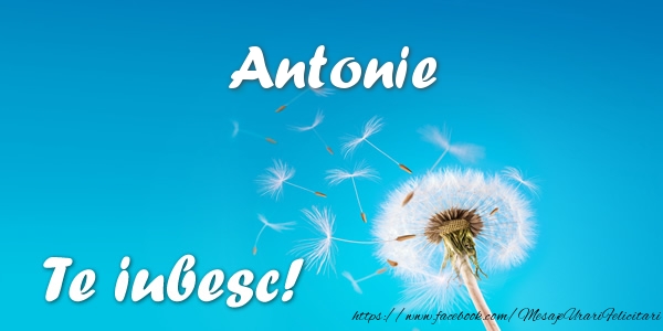 Felicitari de dragoste - Flori | Antonie Te iubesc!