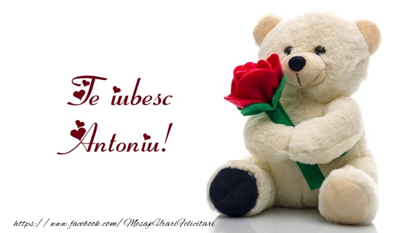  Felicitari de dragoste - Ursuleti | Te iubesc Antoniu!
