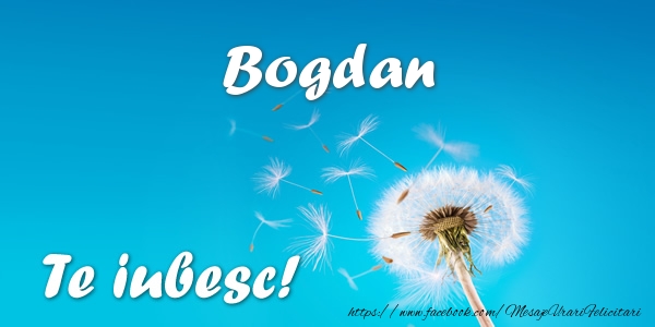  Felicitari de dragoste - Flori | Bogdan Te iubesc!