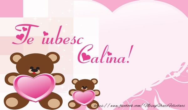  Felicitari de dragoste - Ursuleti | Te iubesc Calina!