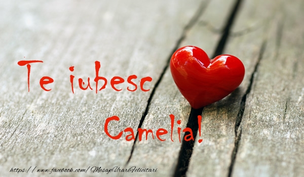  Felicitari de dragoste - ❤️❤️❤️ Inimioare | Te iubesc Camelia!