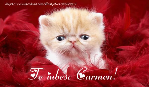  Felicitari de dragoste - Haioase | Te iubesc Carmen!
