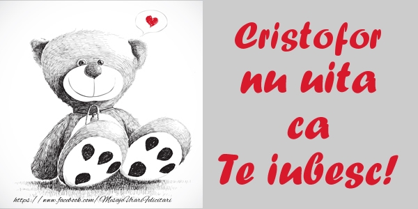 Felicitari de dragoste - Ursuleti | Cristofor nu uita ca Te iubesc!
