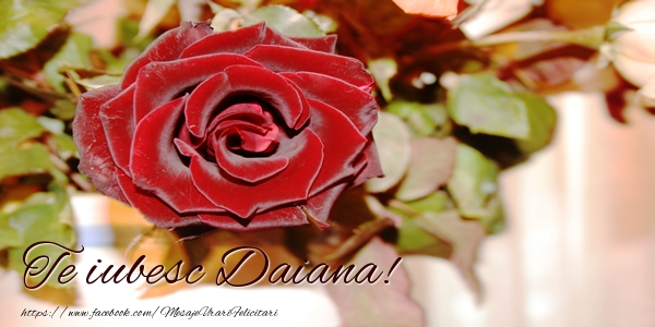  Felicitari de dragoste - Trandafiri | Te iubesc Daiana!